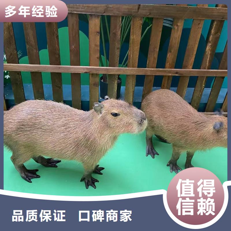 养殖基地多年经验