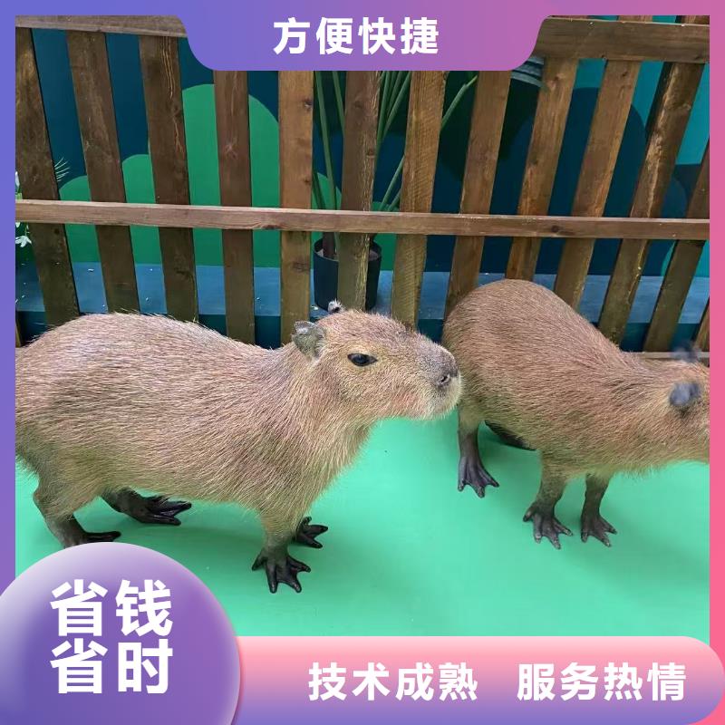 商场暖场经久耐用