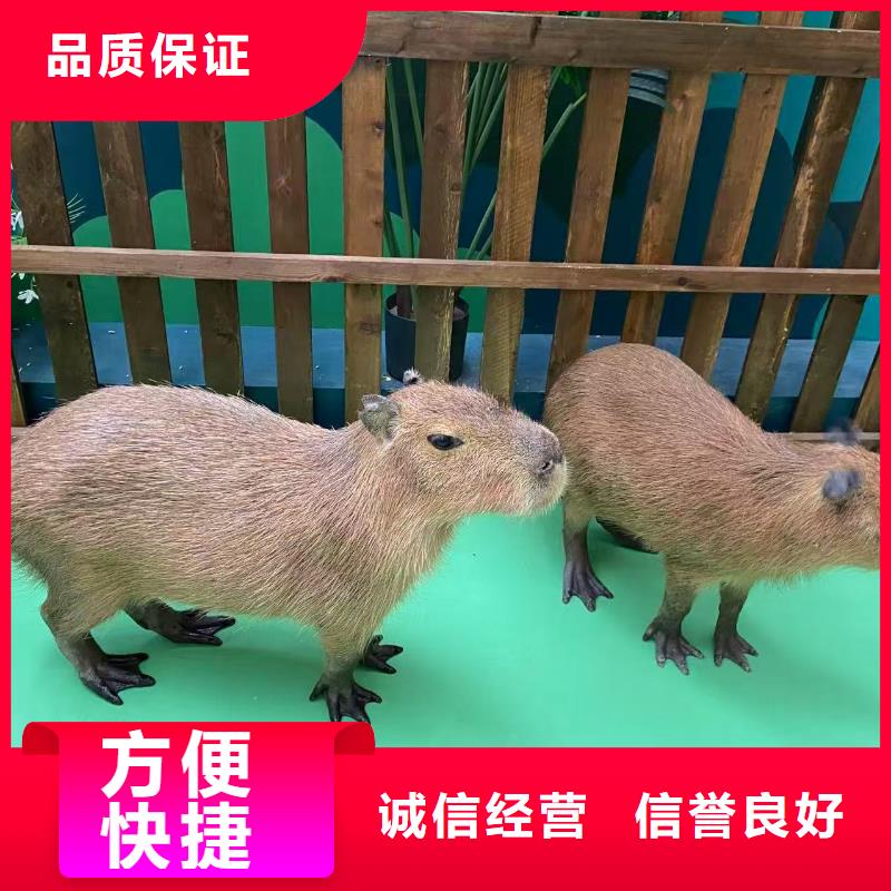 养殖基地-放心采购