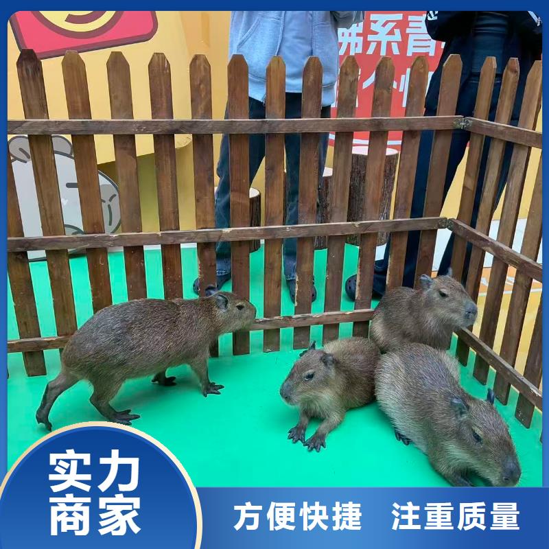 靠谱的检疫标准公司