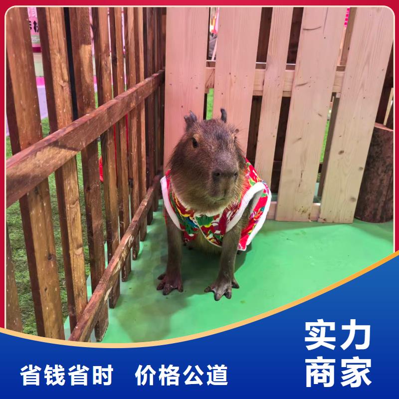 商场暖场经久耐用