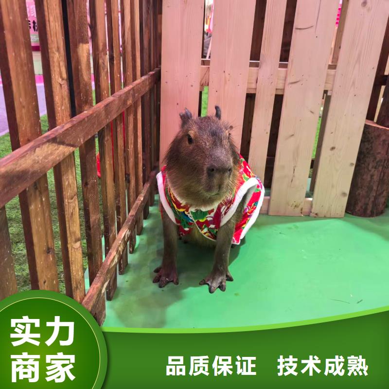 采购检疫标准必看-图文介绍