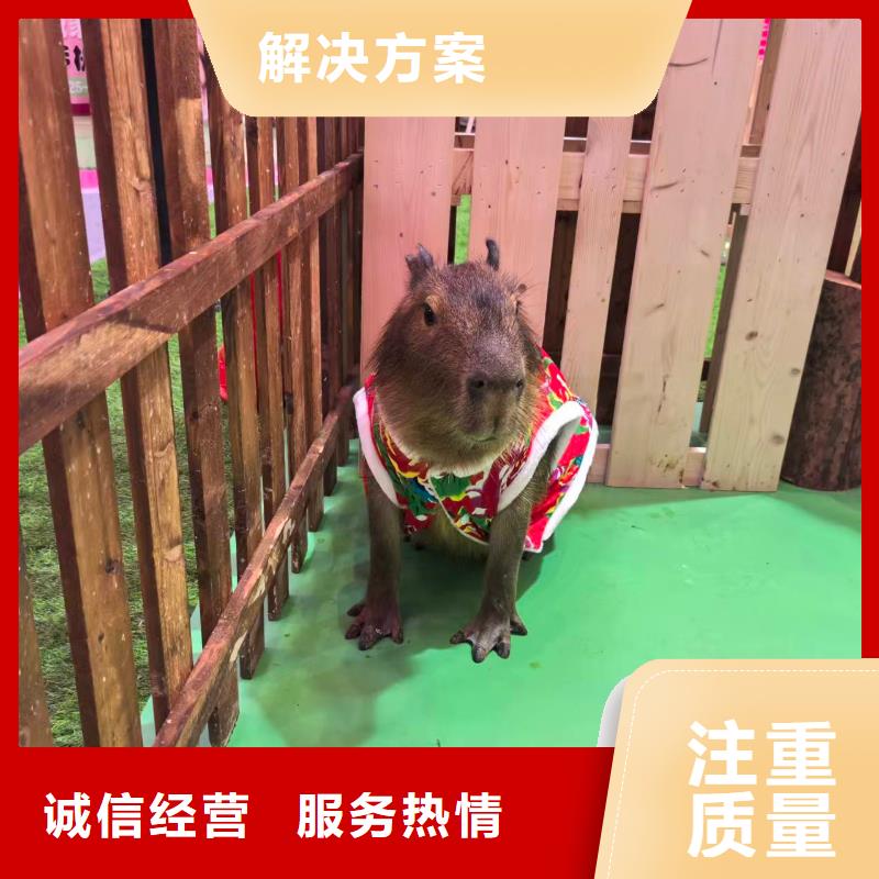 专业生产制造饲养员公司