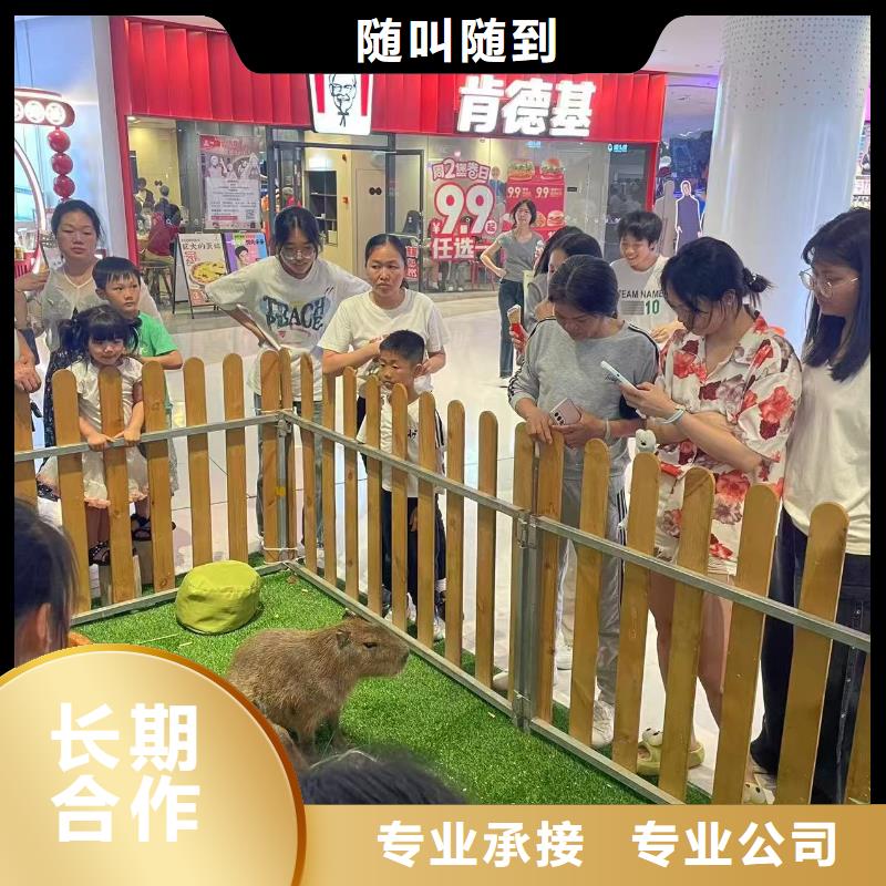 卡皮巴拉租赁供货商