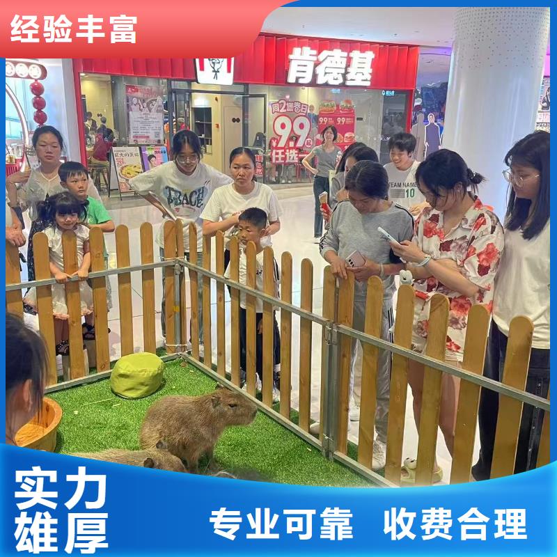 全年龄段适配报价