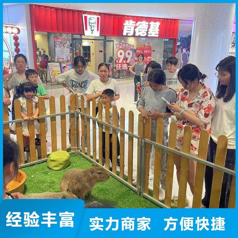 商场暖场经久耐用