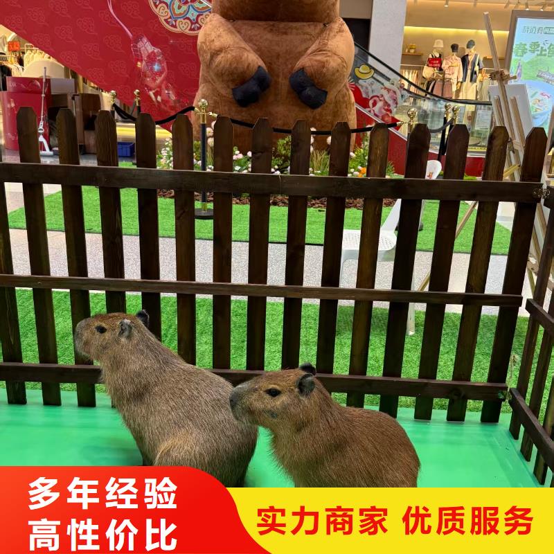 全年龄段适配报价