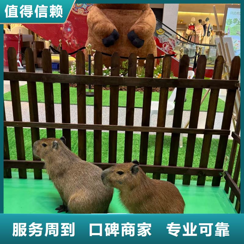 出租优势生产厂家-发货及时