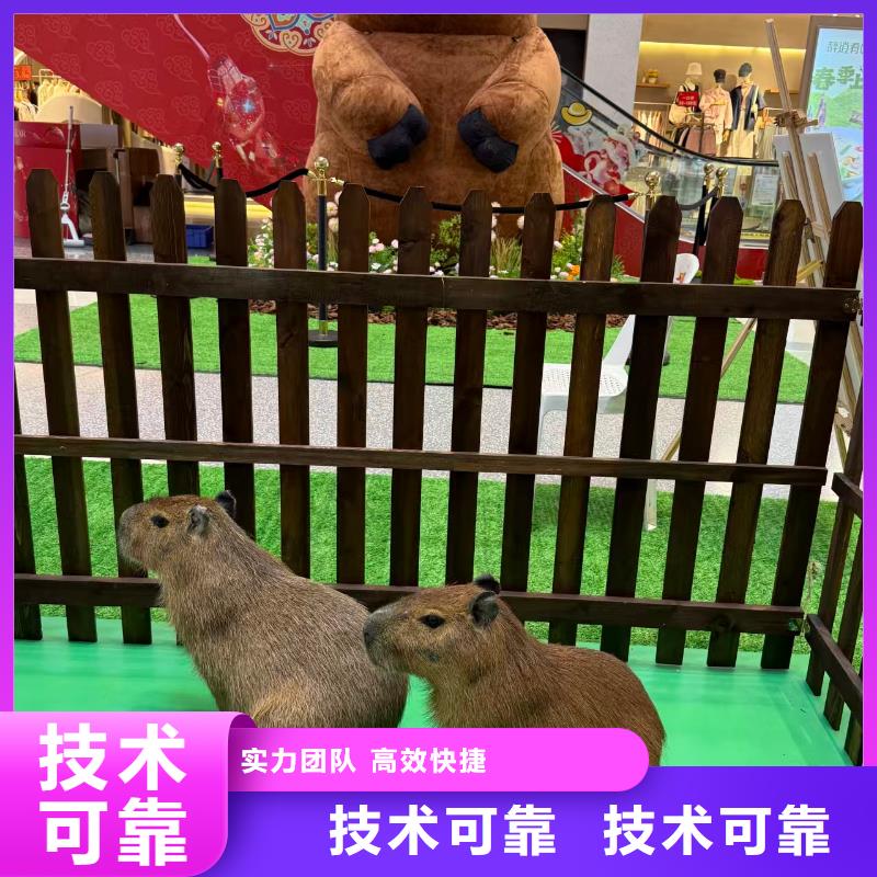 企业团建定制-厂家直销