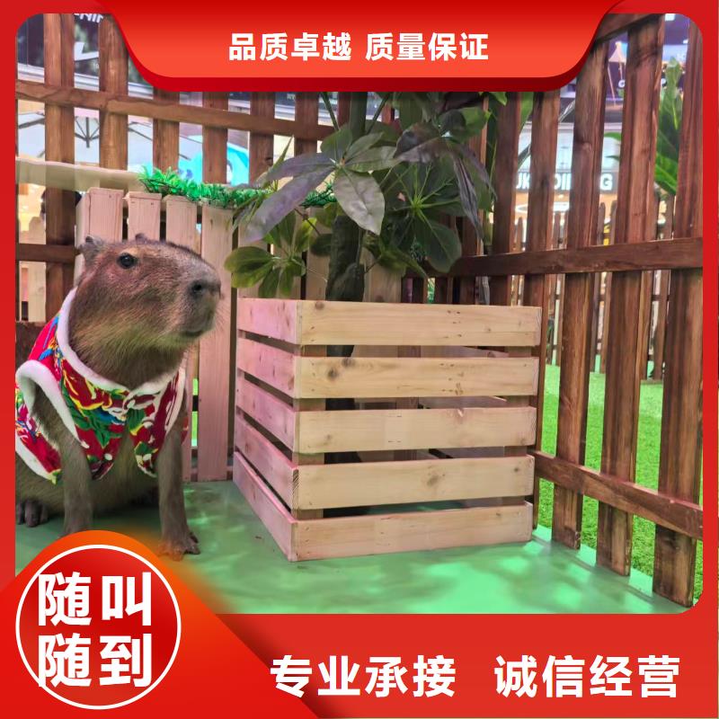 经验丰富的策划基地