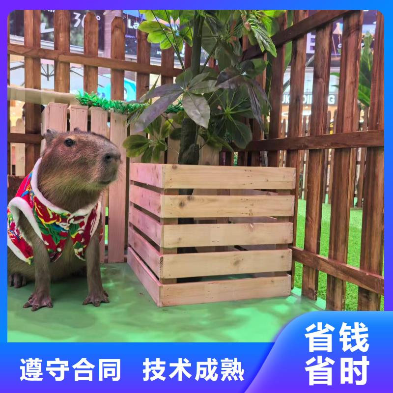 企业团建定制-厂家直销