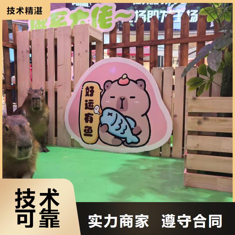 采购检疫标准必看-图文介绍