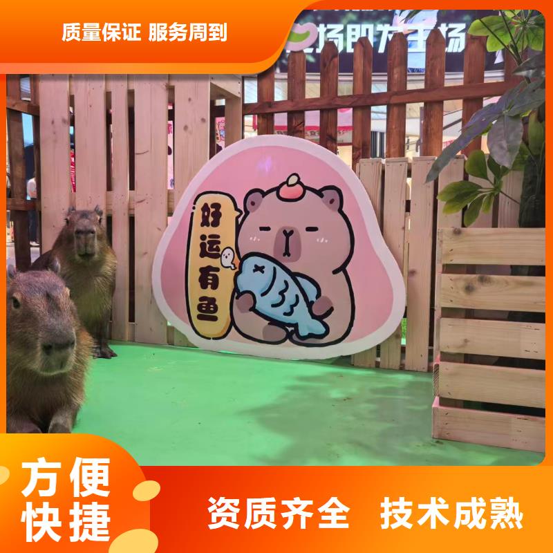 全年龄段适配企业-质量过硬