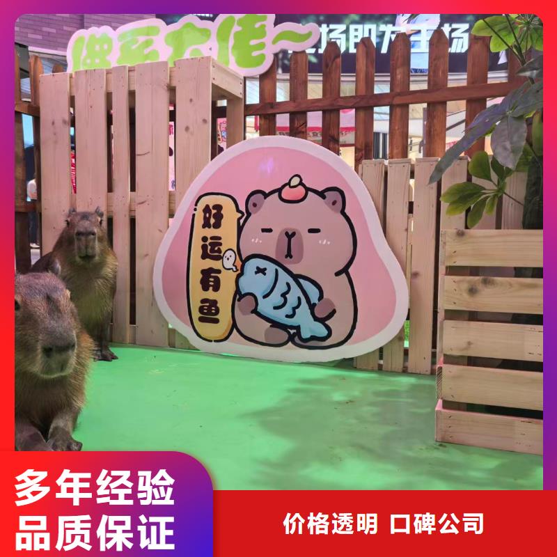 卡皮巴拉租赁加工