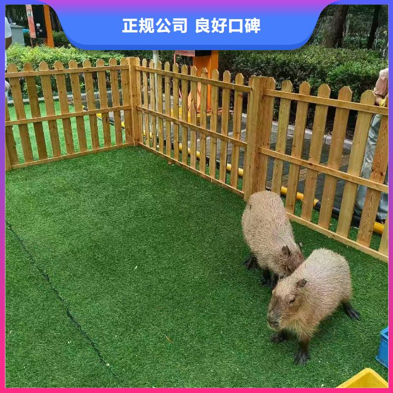 全年龄段适配企业-质量过硬