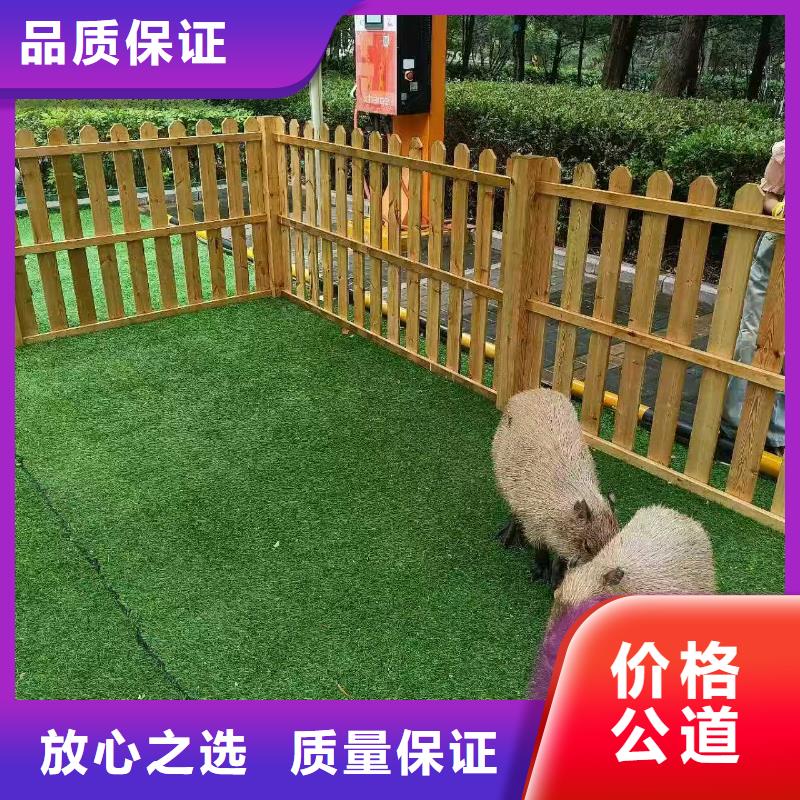 企业团建定制-厂家直销