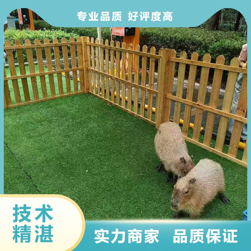 出租优势生产厂家-发货及时