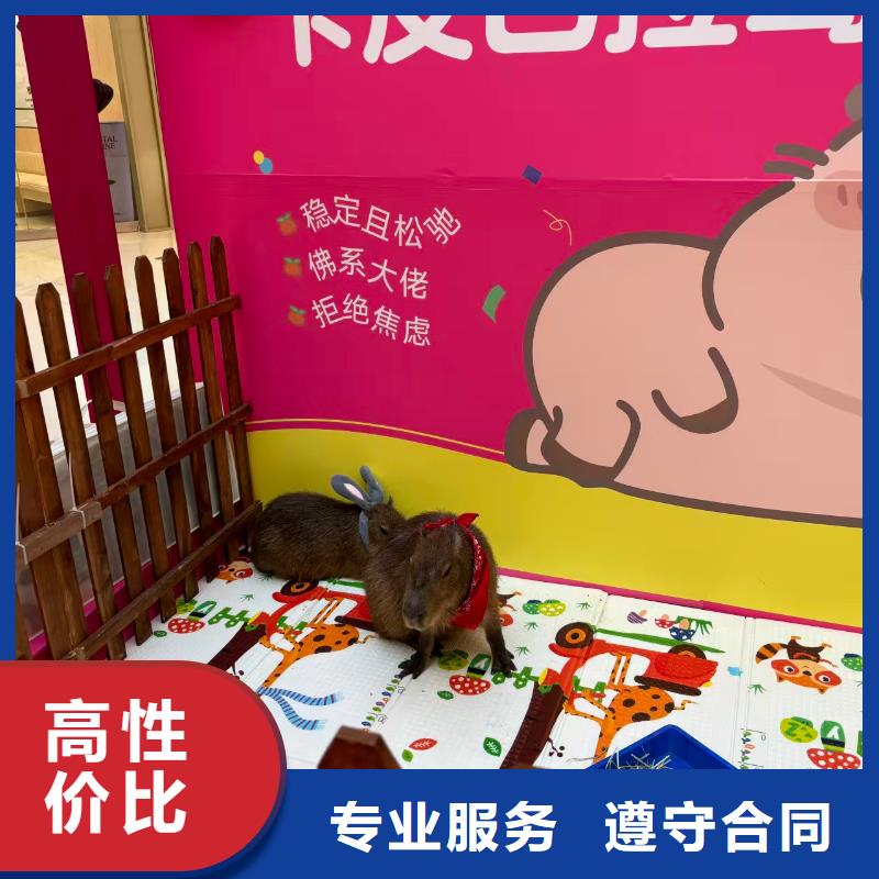 经验丰富的策划基地