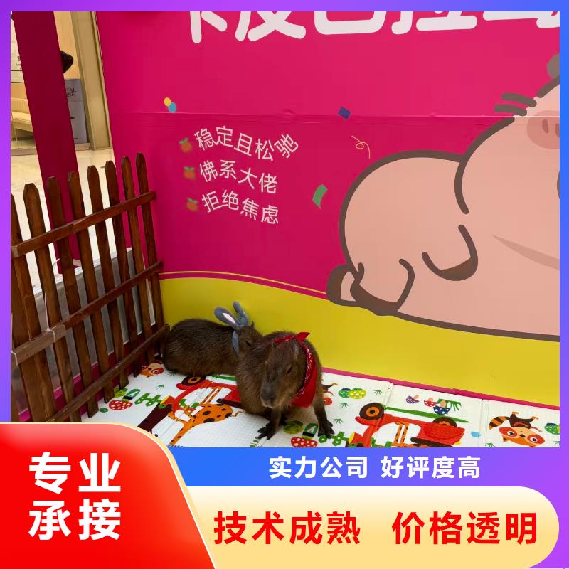 库存充足的出租经销商