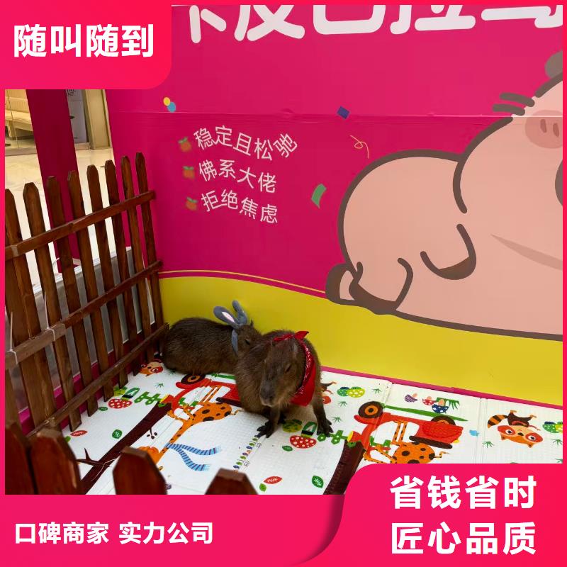 出租优势厂家加工