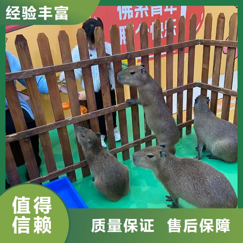 全年龄段适配企业-质量过硬