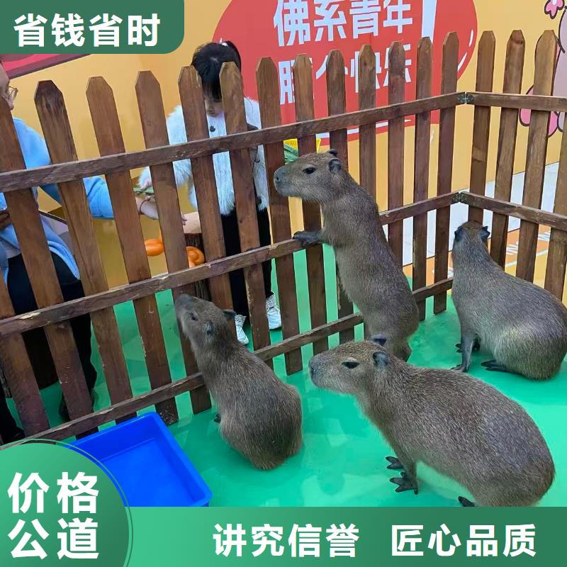 商场暖场生产流程