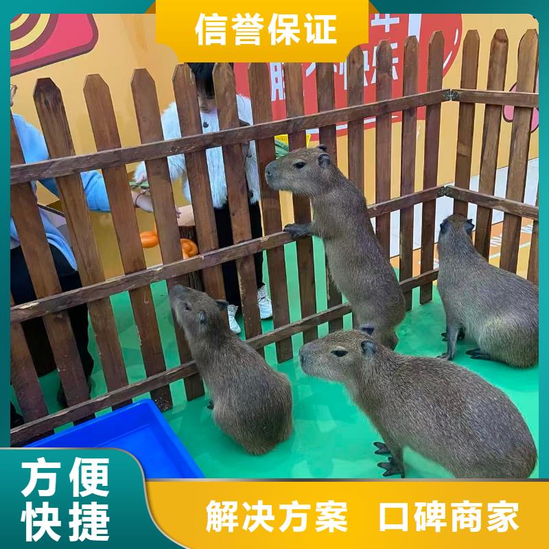 经验丰富的策划基地