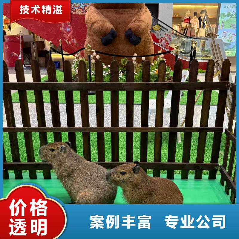 专业生产制造饲养员公司