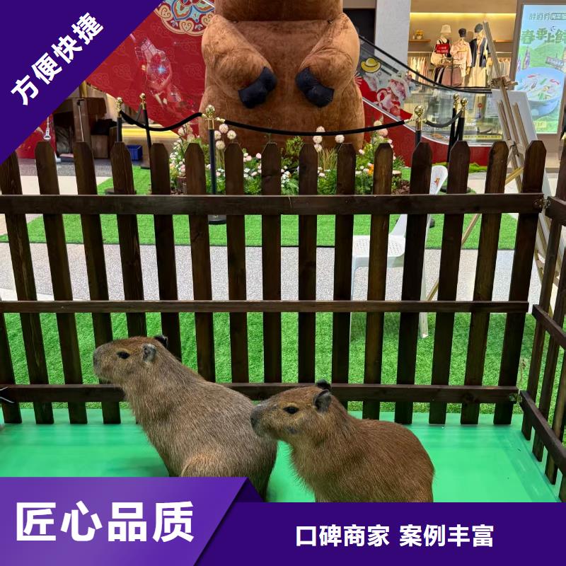 企业团建定制-厂家直销