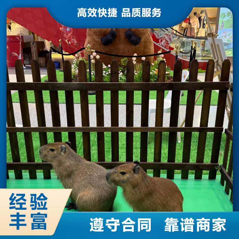 经验丰富的策划基地