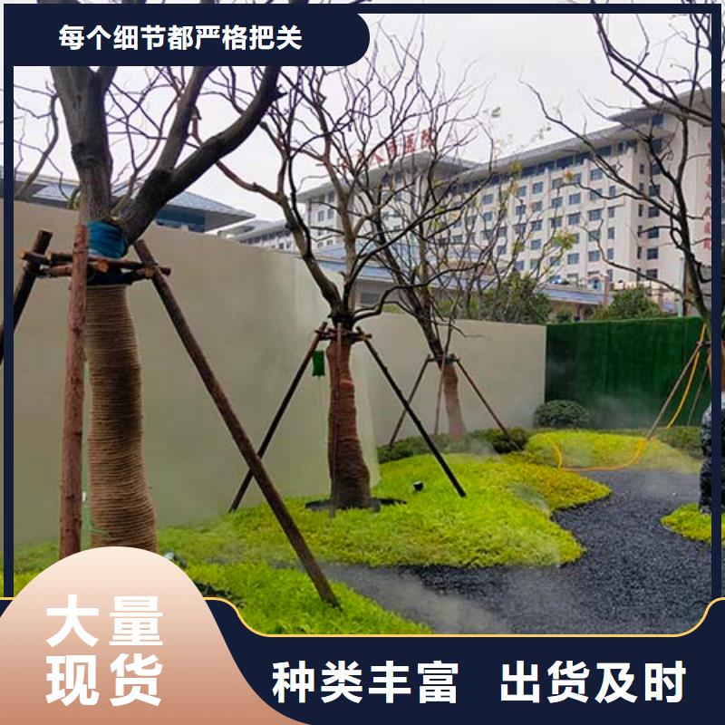 双组份微水泥靠谱厂家多少钱一平米