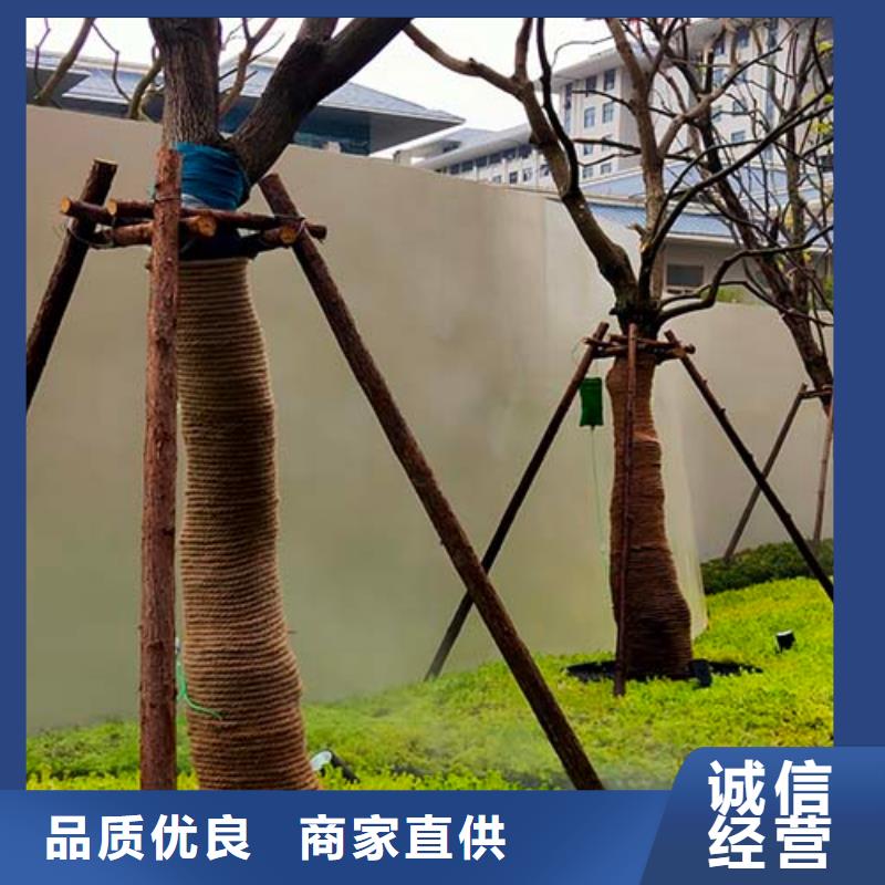 双组份微水泥靠谱厂家多少钱一平米