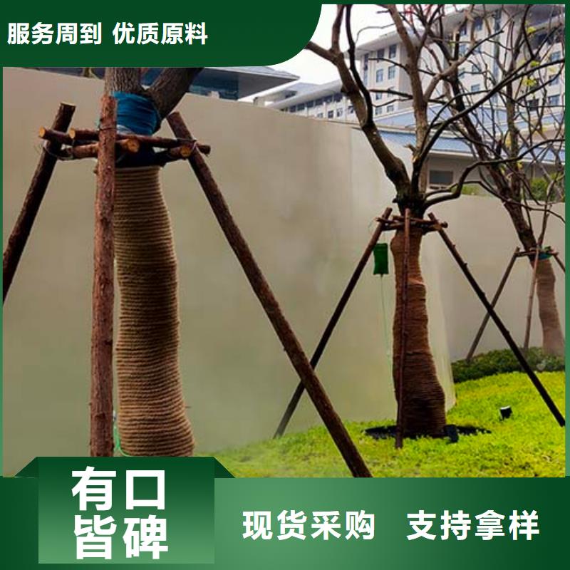 水性微水泥现货价格多少钱