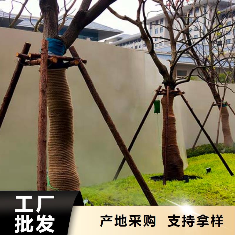 双组份微水泥靠谱厂家多少钱一平米