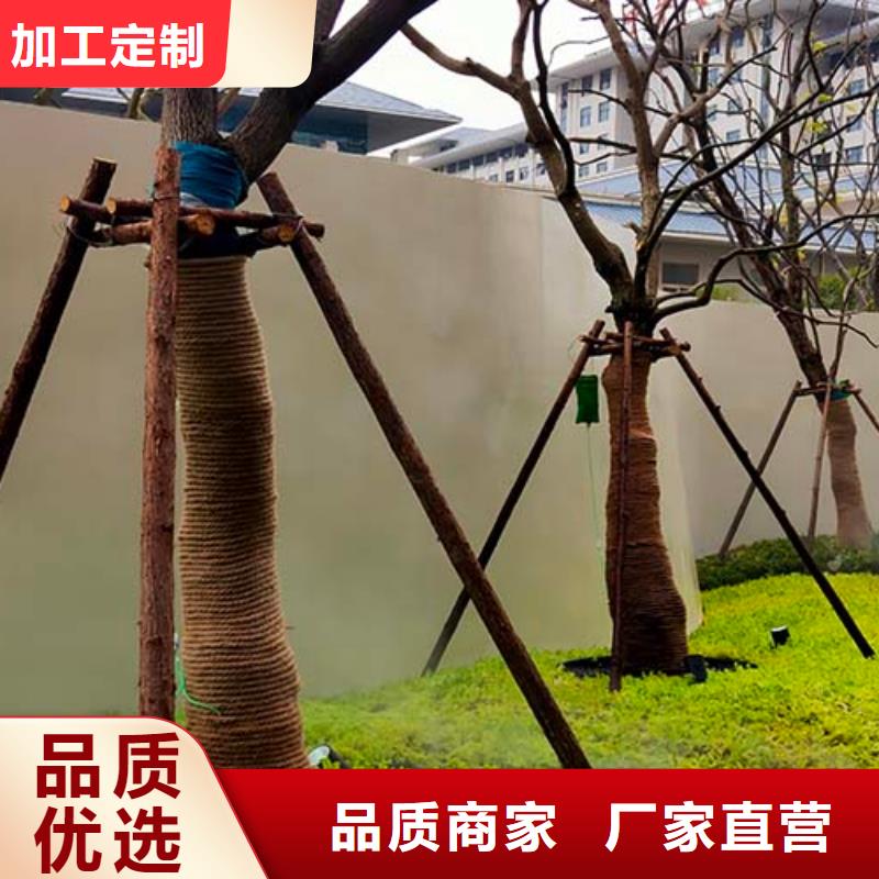 双组份微水泥靠谱厂家多少钱一平米