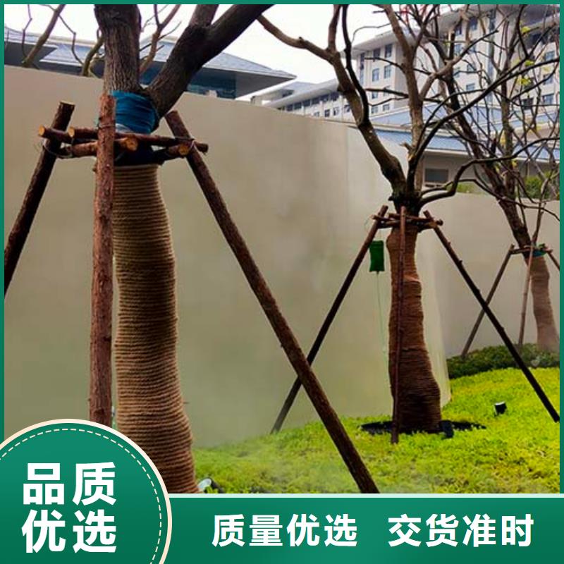 文昌市亮光微水泥10年经验包工包料多少钱