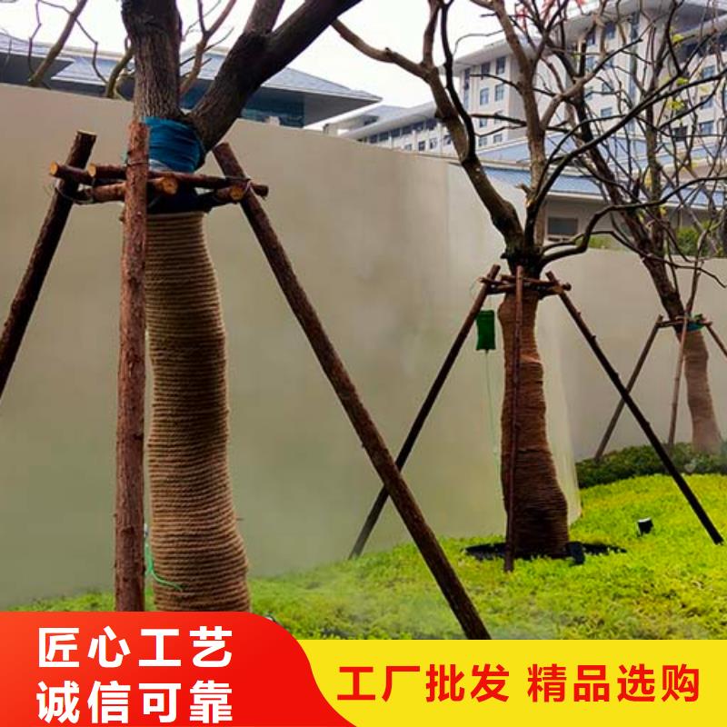 双组份微水泥靠谱厂家多少钱一平米