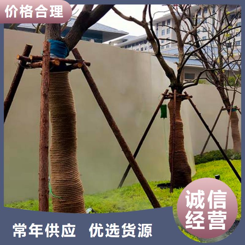 文昌市亮光微水泥10年经验包工包料多少钱