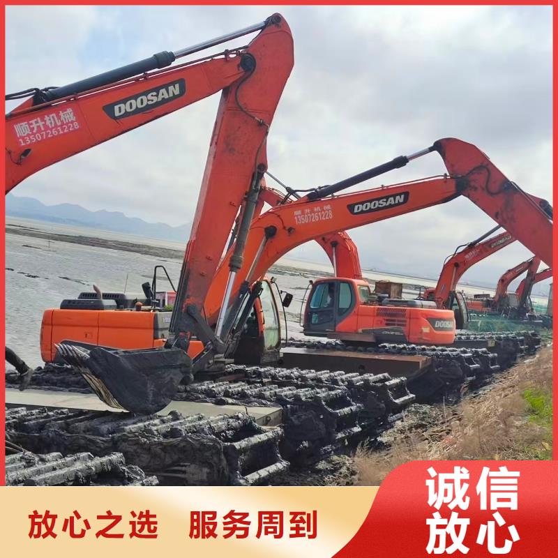 山东水陆挖掘机出租选购