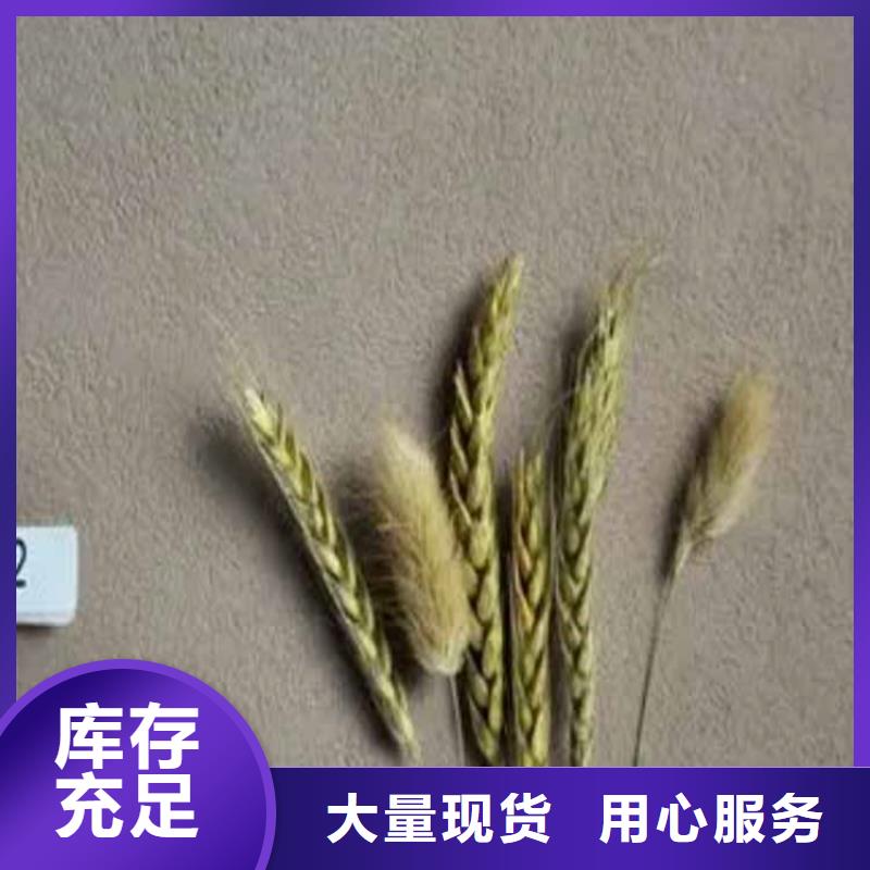 【灰泥质感漆多少钱支持定制加工】