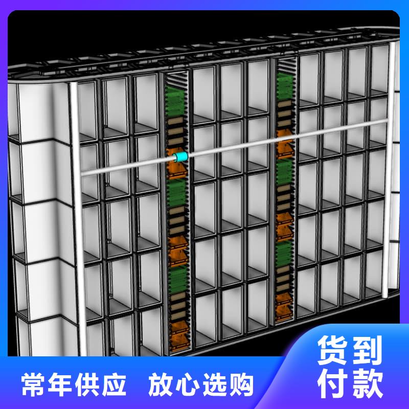 托盘自动出入库的升降柜定制星龙牌