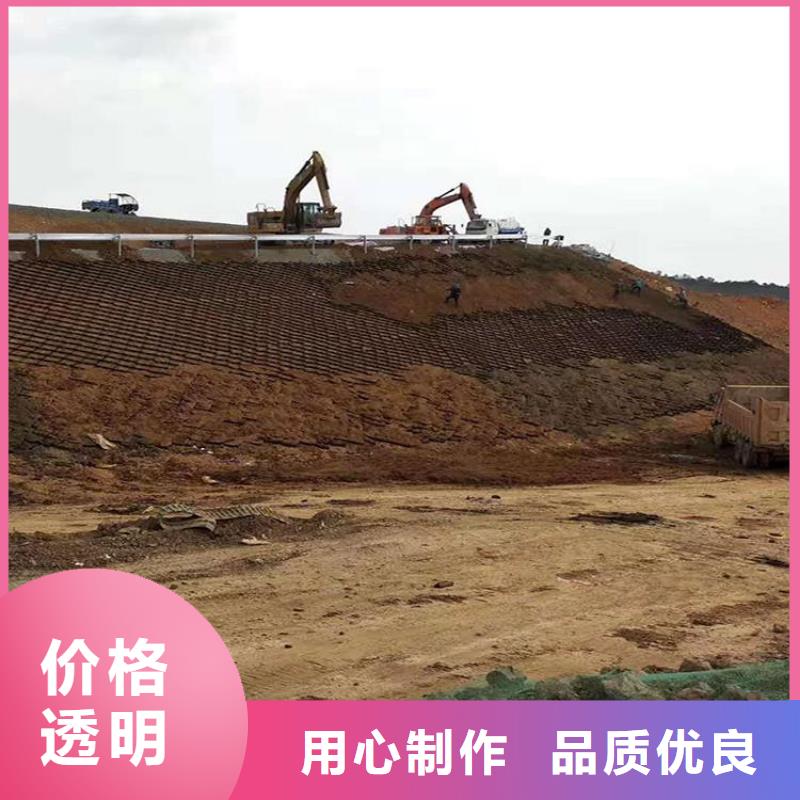 土工格室蜂巢土工格室购买的是放心