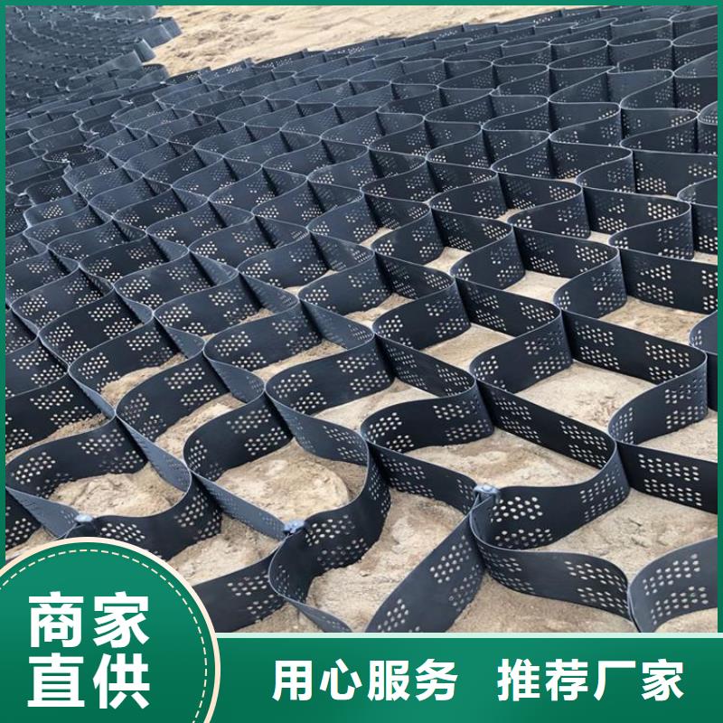 土工格室蜂巢土工格室购买的是放心