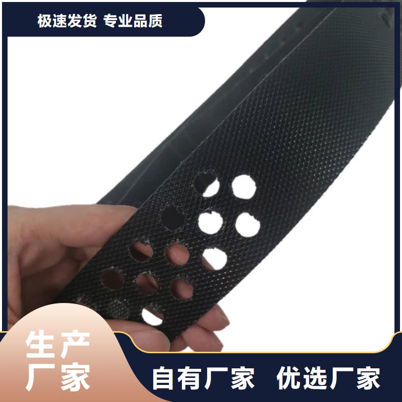 土工格室蜂巢土工格室购买的是放心