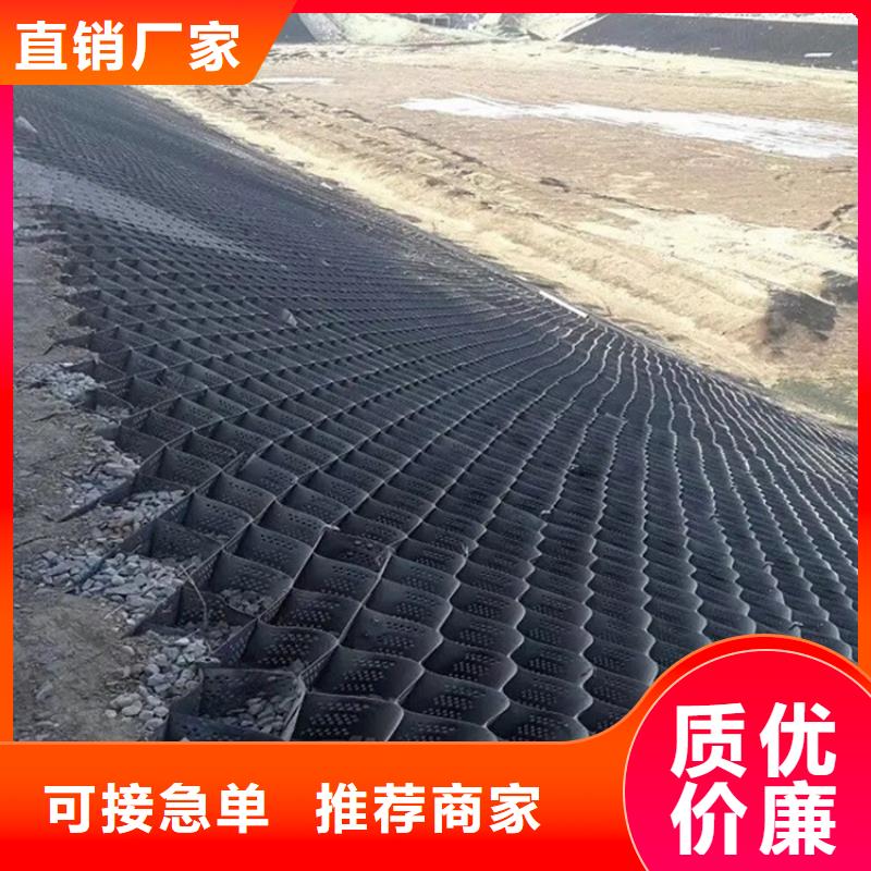 土工格室蜂巢土工格室可接急单