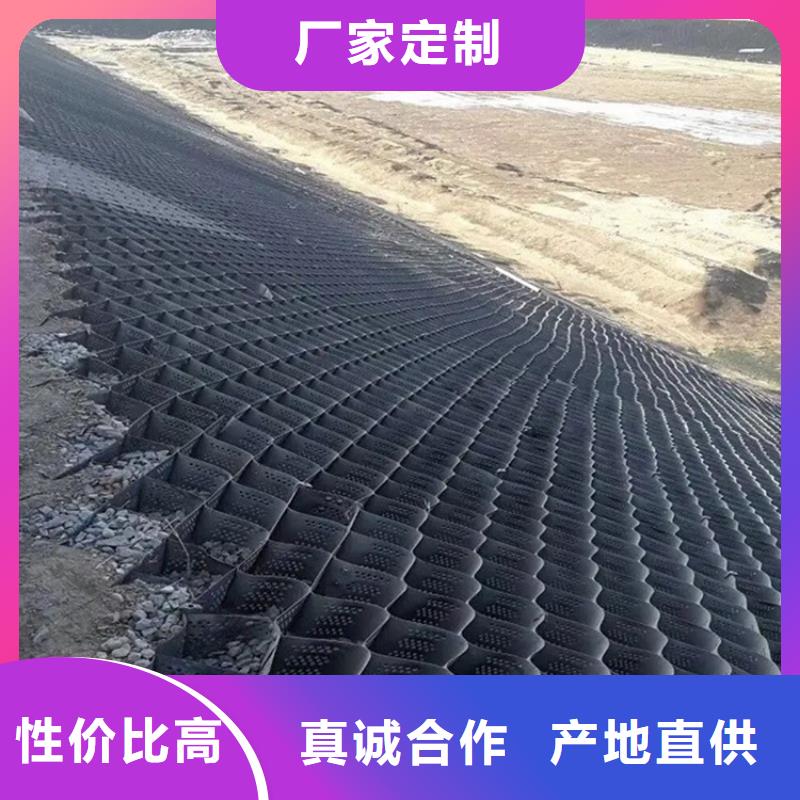 土工格室蜂巢土工格室可接急单
