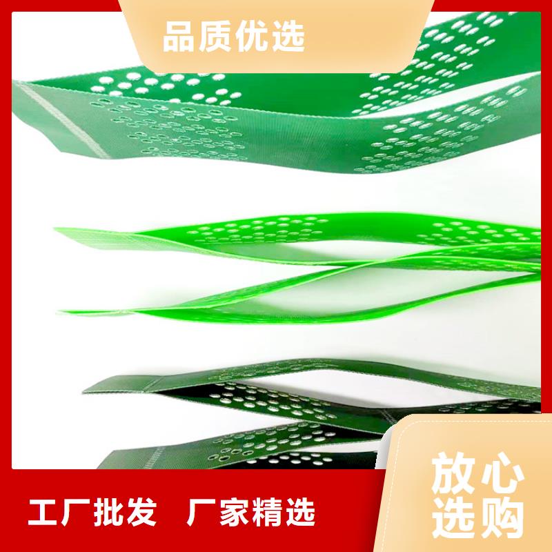 土工格室蜂巢土工格室购买的是放心