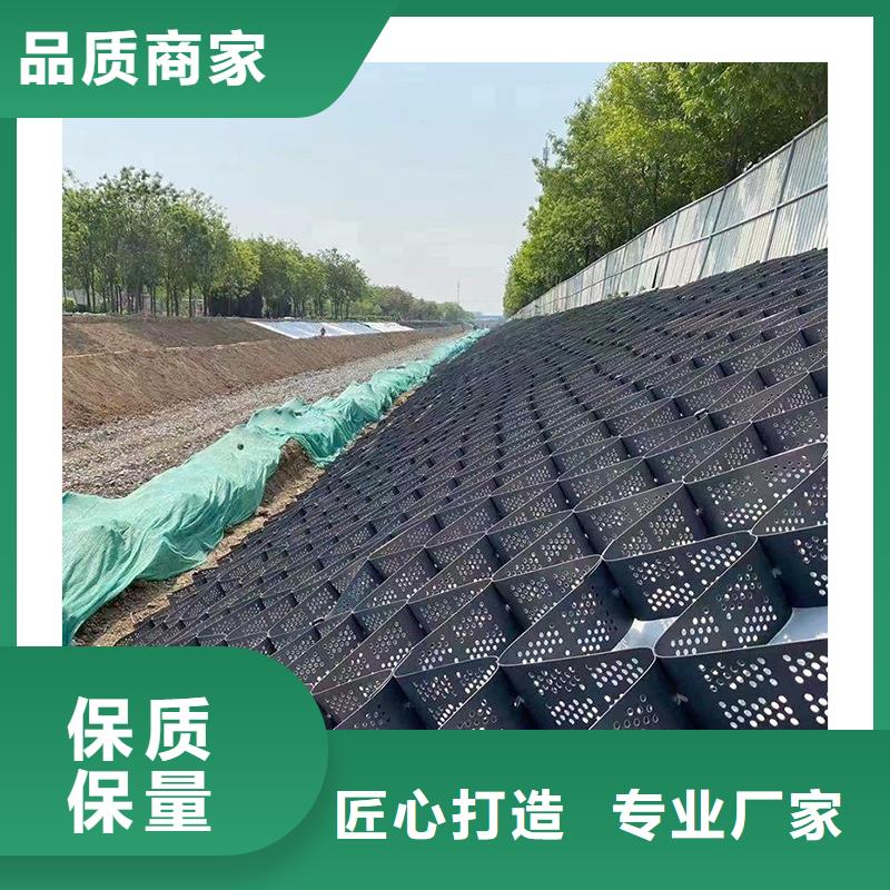 土工格室土工格室价格有优势