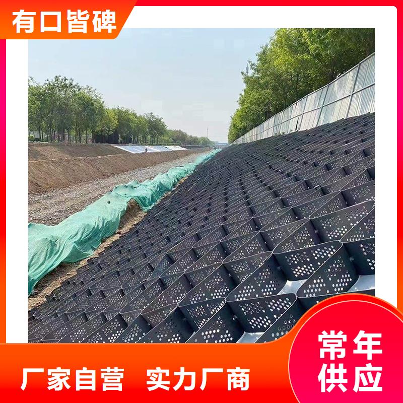 土工格室_HDPE土工格室品质服务诚信为本