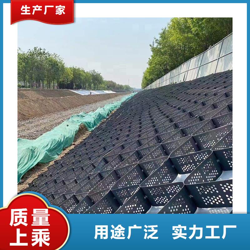 土工格室蜂巢土工格室可接急单